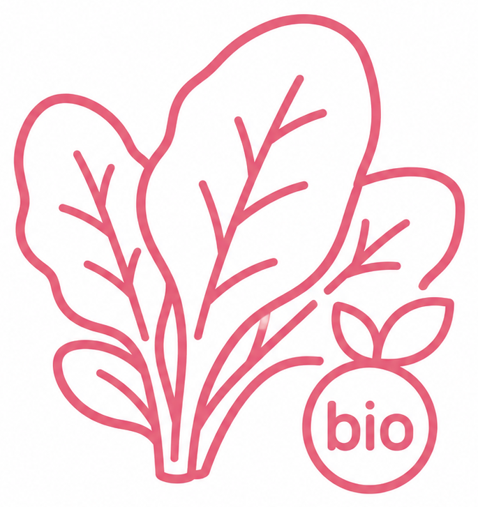 Espinafre bio